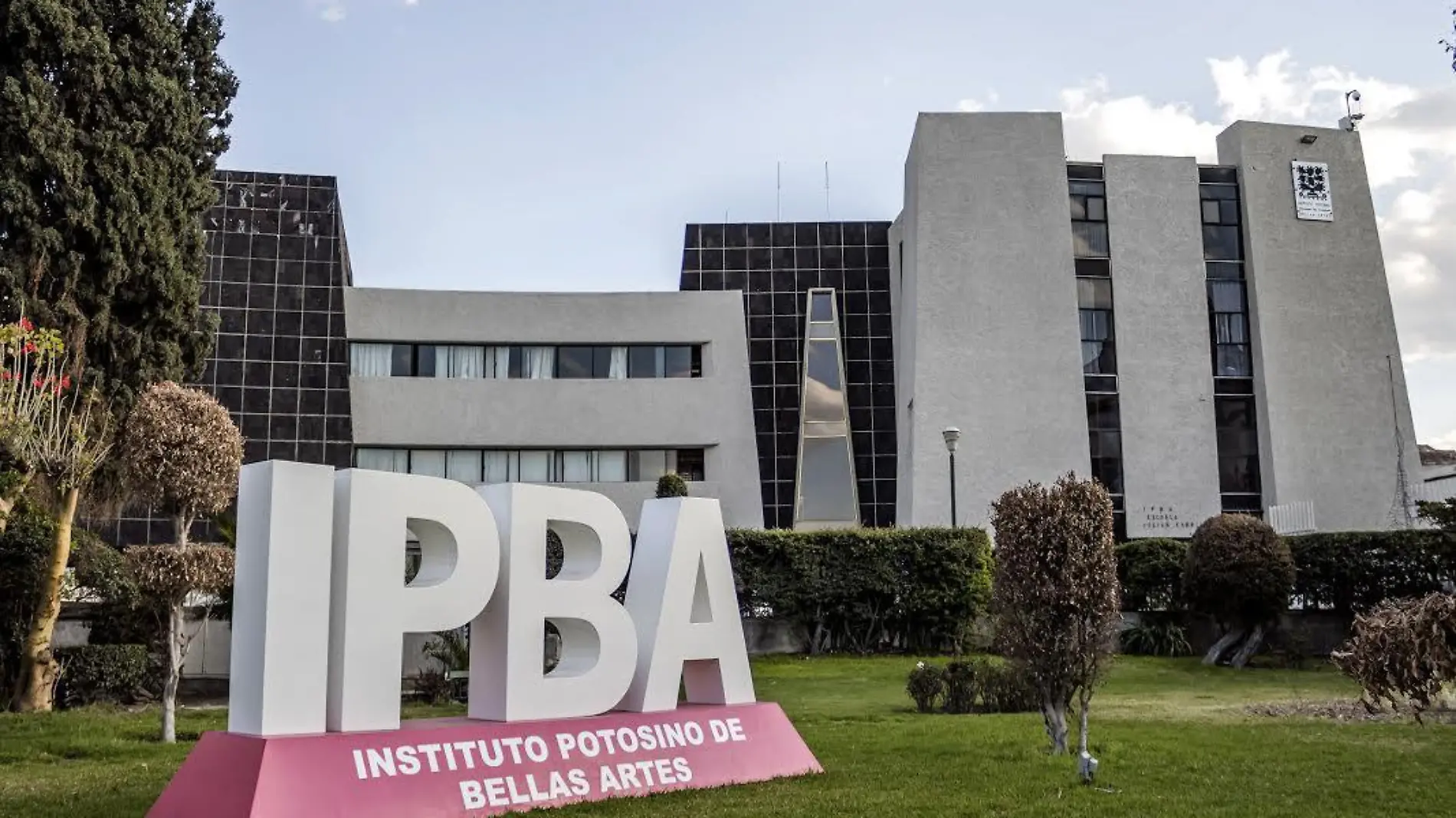 IPBA Contingencia 190320